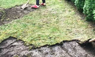 Снятие дерна старого газона в Бийске – от 511 руб. | 2Землекопа-Бск